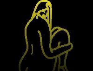 Noida Escorts Services in Delhi - Mens and ladies escort agencies Noida 1