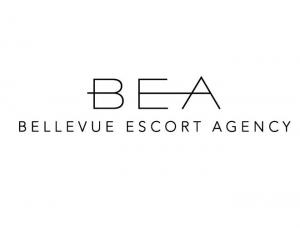 Bellevue Escort - Mens and ladies escort agencies Hamburg 1