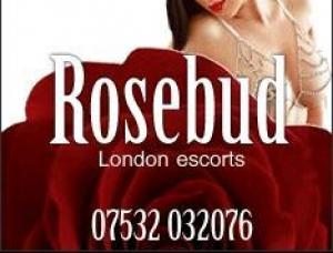 Rosebud Escorts London - Mens and ladies escort agencies London 1