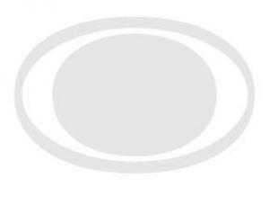 Adeo Escort - Mens and ladies escort agency Munich