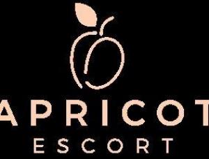 Apricot Escort - Mens and ladies escort agencies Cologne 1