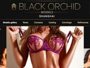 Black Orchid Models - Mens and ladies escort agencies Shanghai 1