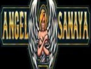 Angel Sanaya - Mens and ladies escort agencies Delhi 1