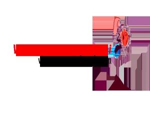 Vip Escort Service Karachi - Mens and ladies escort agencies Islamabad 1