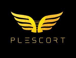 Plescort Agency - Mens and ladies escort agencies Frankfurt 1