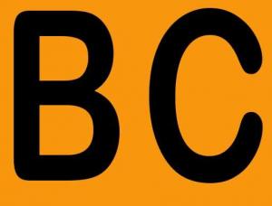 BC Babes - Mens and ladies escort agencies Victoria 1