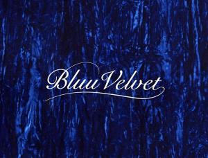 Bluu Velvet - Mens and ladies escort agencies Zurich 1