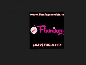 Flamingo Models - Mens and ladies escort agencies Toronto 1