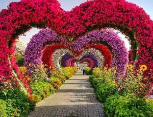 Venera - Mens and ladies escort agencies Sofia 1