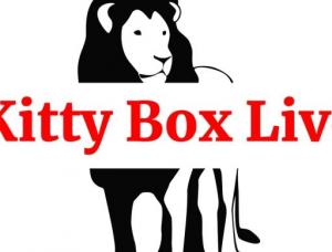 KittyBoxLive - Mens and ladies escort agencies Fort Myers FL 1