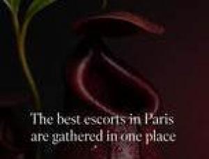 Parisian moths - Mens and ladies escort agencies Paris 1