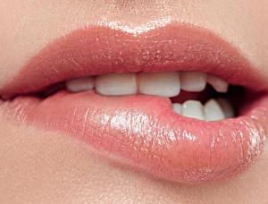 Escortagentur Vienna - Mens and ladies escort agencies Vienna 1