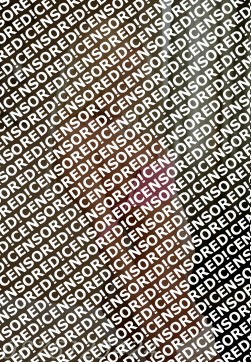 Elite Escort Steisi - Escort lady Sofia 4