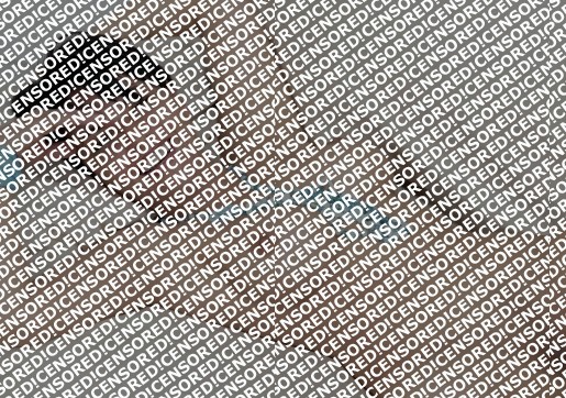 Michelle - Escort lady Zurich 5