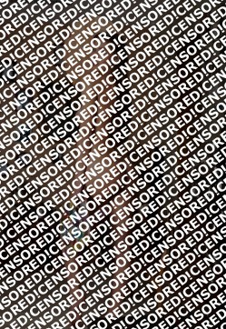 Sally - Escort lady Manchester 4