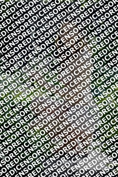 Dana - Escort lady Paris 4