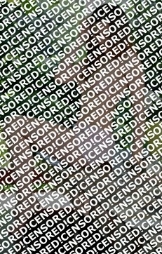 Dana - Escort lady Paris 5