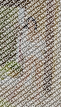 Anita - Escort lady Paris 3