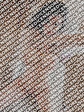 Ana - Escort lady Amsterdam 3