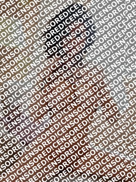 Ana - Escort lady Amsterdam 5