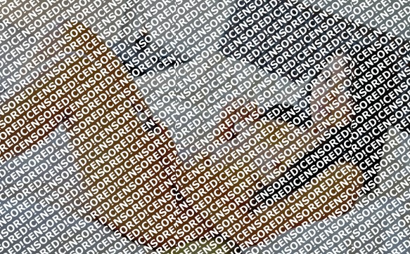 Erin - Escort lady Amsterdam 2