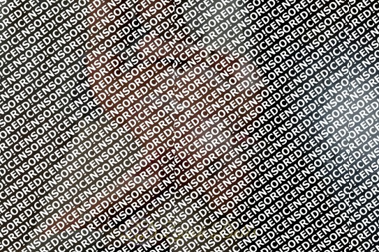 Renata - Escort lady Zurich 5