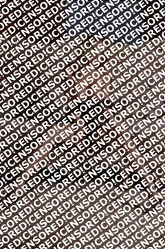 Chantal Taylor - Escort lady Zurich 5