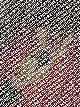 Larissa - Escort lady Bergamo 3