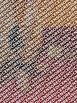 Larissa - Escort lady Bergamo 4