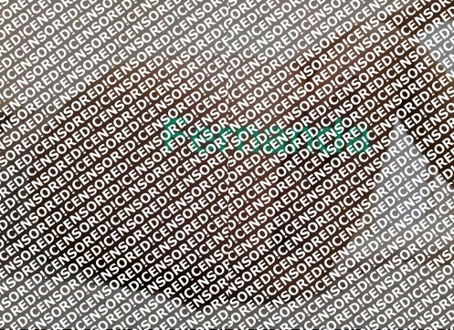 Fernanda - Escort trans Bergamo 10