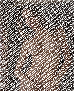 Fernanda - Escort trans Bergamo 5