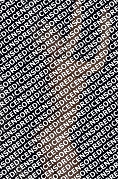 Nikol - Escort lady Budapest 3