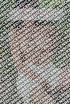 Julia - Escort lady Zurich 2