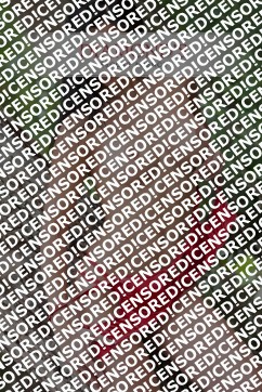 Julia - Escort lady Zurich 4