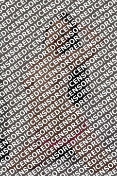 Raluca - Escort lady Vienna 2