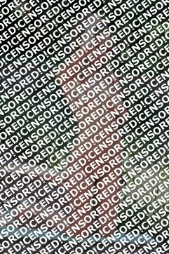 Alina - Escort lady Rome 3