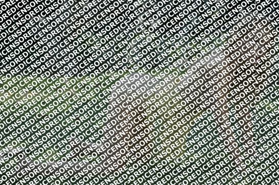 Alina - Escort lady Rome 4