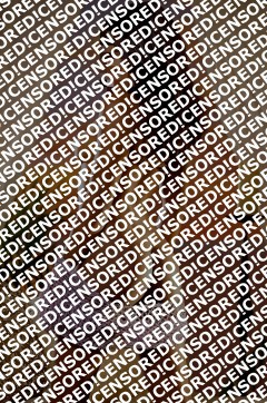 Christy - Escort lady Amsterdam 11