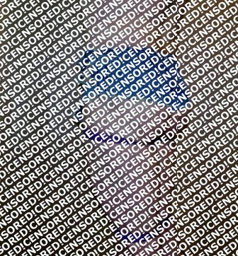 Gina Ropeburn - Escort female slave / maid Reno 11