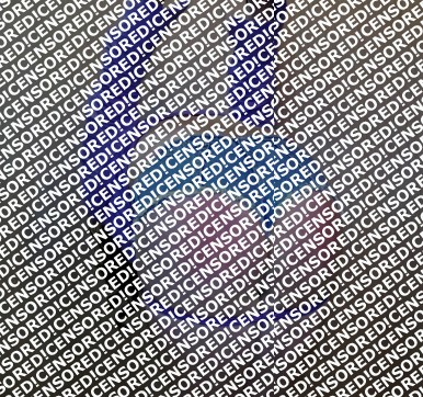 Gina Ropeburn - Escort female slave / maid Reno 12