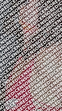 Gina Ropeburn - Escort female slave / maid Reno 7