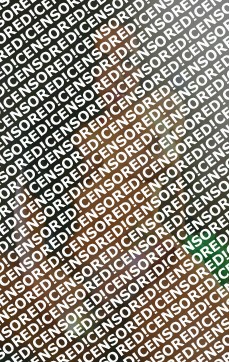 Rachele - Escort trans Vicenza 2