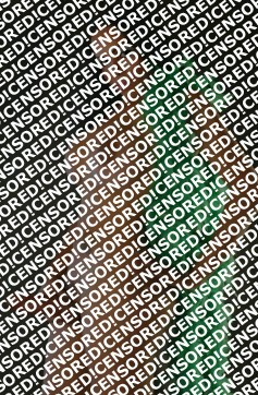 Rachele - Escort trans Vicenza 3