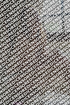 Cynthia Quinn - Escort lady Austin TX 4