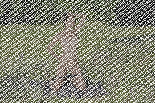 Kathleen Bowman - Escort lady Fort Worth 3