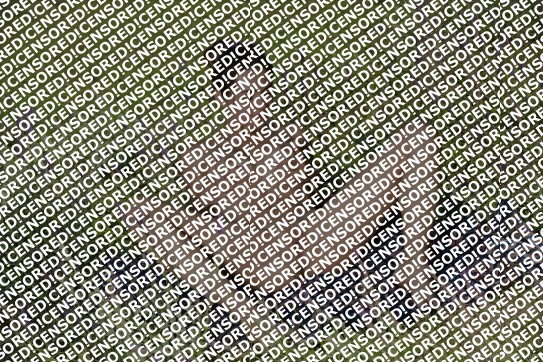 Kathleen Bowman - Escort lady Fort Worth 4