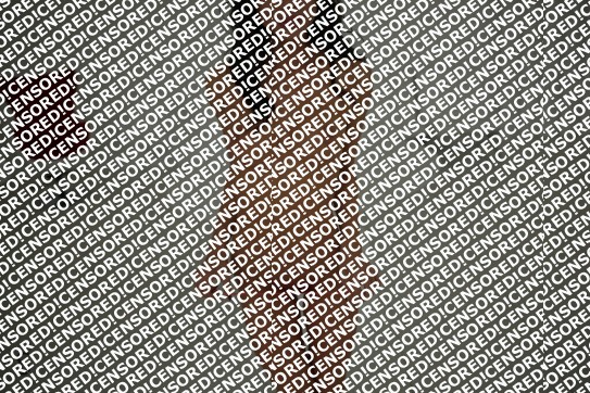 Linda Greenfield - Escort lady Chicago 3