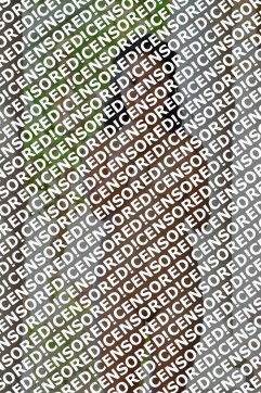 Shannon Foster - Escort lady Las Vegas 2