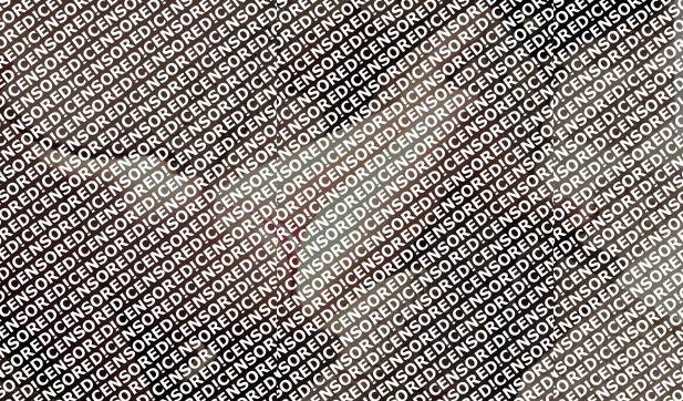 Zara - Escort lady Sofia 4