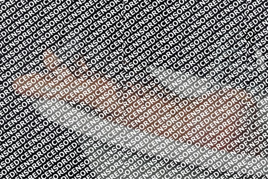 Maya - Escort lady Rome 10